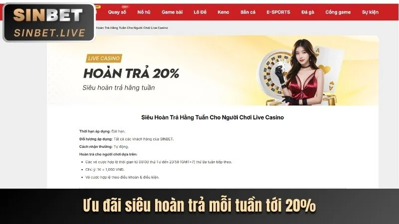 Hình ảnh minh họa khu vực tin tức và cập nhật của 99win